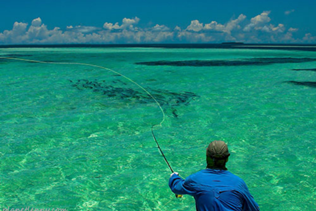 fishing-image-1 Catching a fish from a rental boat in Marathon Key